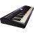 ROLAND GO-61P GO:PIANO